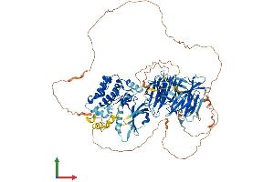 AlphaFold protein structure predicition of Human Recombinant MAP4K3 Protein, UniprotID Q8IVH8 (MAP4K3 Protein (AA 1-894) (His tag))