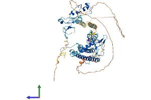 AlphaFold protein structure predicition of Mouse Recombinant Cxxc1 Protein, UniprotID Q9CWW7