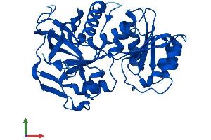 Protein Structure (PS) image for Tumor Protein P53 Inducible Protein 3 (TP53I3) (AA 1-332) protein (His tag) (ABIN7551169)