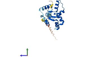 AlphaFold protein structure predicition of Human Recombinant MYL12B Protein, UniprotID O14950