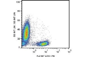 Surface staining of human peripheral blood leukocytes with anti-human CD28 (CD28. (CD28 antibody  (PE))