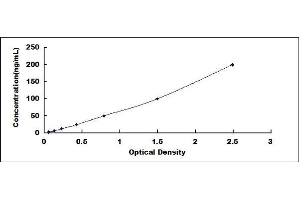 PEDF ELISA Kit