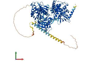 Protein Structure (PS) image for DEAH (Asp-Glu-Ala-His) Box Polypeptide 15 (DHX15) (AA 1-795) protein (His tag) (ABIN7562297)