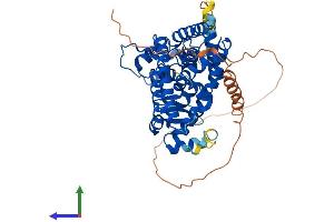 AlphaFold protein structure predicition of Human Recombinant PPARA Protein, UniprotID Q07869 (PPARA Protein (AA 1-468) (His tag))