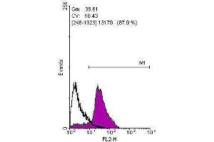 FACS Image Flow cytometry on human embryonic stem cells, staining with Oct4 ,antibody at 1:100 dilution(purple) or rabbit IgG (black). (OCT4 antibody)