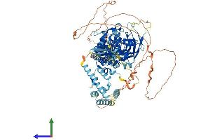 AlphaFold protein structure predicition of Mouse Recombinant Stat2 Protein, UniprotID Q9WVL2 (STAT2 Protein (AA 1-923) (His tag))