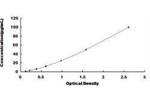 ELISA image for Osteocalcin (BGLAP) ELISA Kit (ABIN1874281)