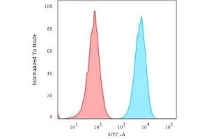 Flow Cytometric Analysis of Raji cells using HLA-Pan Recombinant Rabbit Monoclonal Antibody (HLA-Pan/2967R) followed by goat anti-rabbit IgG-CF488 (Blue); Isotype control (Red). (Recombinant MHC Class II HLA-DP/DQ/DR antibody)