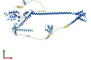 AlphaFold protein structure predicition of Mouse Recombinant Dnajc2 Protein, UniprotID P54103 (DNAJC2 Protein (AA 1-621) (His tag))