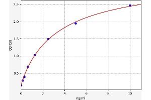 Typical standard curve (SMURF2 ELISA Kit)