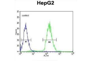 Flow Cytometry (FACS) image for anti-CDC14 Cell Division Cycle 14 Homolog A (CDC14A) antibody (ABIN3003762)