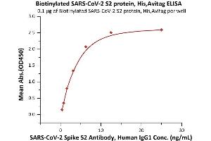 Immobilized Biotinylated SARS-CoV-2 S2 protein, His,Avitag (ABIN6973258) at 1 μg/mL (100 μL/well) on streptavidin  (0. (SARS-CoV-2 Spike S2 Protein (His tag,AVI tag,Biotin))