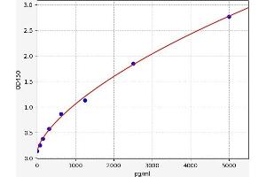 PARP2 ELISA Kit