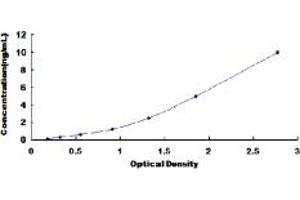 Typical standard curve (Osteoprotegerin ELISA Kit)