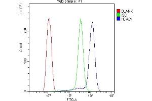 Flow Cytometry analysis of THP-1 cells using anti-HDAC4 antibody (ABIN5518841).