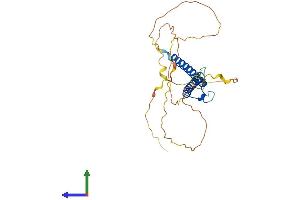 AlphaFold protein structure predicition of Human Recombinant OLIG3 Protein, UniprotID Q7RTU3 (OLIG3 Protein (AA 1-272) (His tag))