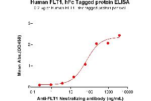 ELISA image for Fms-Related tyrosine Kinase 1 (VEGFR1) (FLT1) (AA 27-756) protein (Fc Tag) (ABIN6964344)