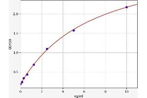 Typical standard curve (CDK5 ELISA Kit)