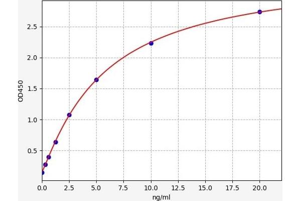 LRP4 ELISA Kit