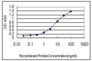 ELISA image for anti-Hemoglobin beta (HBB) (AA 38-148) antibody (ABIN614613) (Hemoglobin Subunit beta antibody  (AA 38-148))