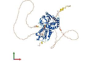 AlphaFold protein structure predicition of Human Recombinant CDC14A Protein, UniprotID Q9UNH5 (CDC14A Protein (AA 1-594) (His tag))