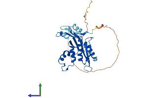 AlphaFold protein structure predicition of Mouse Recombinant Rnaseh1 Protein, UniprotID O70338 (Ribonuclease H1 Protein (RNASEH1) (AA 1-285) (His tag))