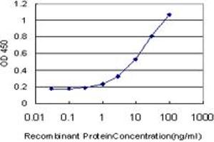 Detection limit for recombinant GST tagged GUCY2C is approximately 0. (GUCY2C antibody  (AA 24-133))