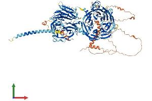 AlphaFold protein structure predicition of Mouse Recombinant Stxbp5 Protein, UniprotID Q8K400 (STXBP5 Protein (AA 1-1152) (His tag))