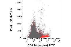 Surface staining of activated murine splenocytes (PHA + PMA + ionomycin for 6 hours) using anti-CD154 (MR-1) FITC. (CD40 Ligand antibody  (FITC))