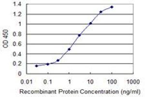 Detection limit for recombinant GST tagged UPF3A is 0. (UPF3A antibody  (AA 274-374))