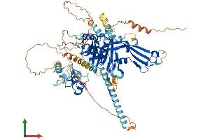 AlphaFold protein structure predicition of Human Recombinant USP49 Protein, UniprotID Q70CQ1 (USP49 Protein (AA 1-688) (His tag))