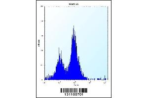 Flow cytometric analysis of Neuro-2a cells (right histogram) compared to a negative control cell (left histogram).