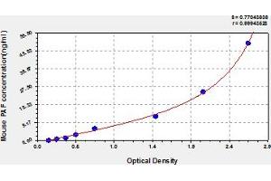 Typical Standard Curve (Platelet activating factor (PAF) ELISA Kit)