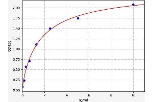 GCLC ELISA Kit