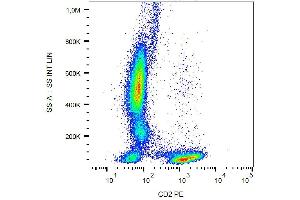 Surface staining of human peripheral blood with anti-human CD2 (MEM-65) PE. (CD2 antibody  (PE))