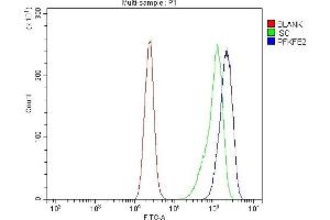 Flow Cytometry analysis of CACO-2 cells using anti-PFKFB2 antibody (ABIN7601627).