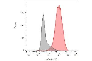 Intracellular staining of JURKAT cells with anti-CD3 epsilon activation epitope (APA1/1) PE. (CD3 antibody  (PE))