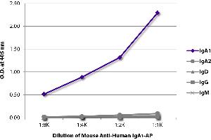 ELISA plate was coated with purified human IgA1, IgA2, IgD, IgG, and IgM.