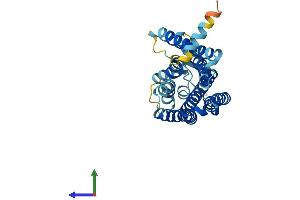 AlphaFold protein structure predicition of Human Recombinant OR6Q1 Protein, UniprotID Q8NGQ2 (OR6Q1 Protein (AA 1-317) (His tag))