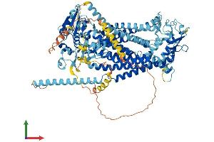 AlphaFold protein structure predicition of Mouse Recombinant Ano4 Protein, UniprotID Q8C5H1