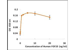 Activity Assay (AcA) image for Fibroblast Growth Factor 10 (FGF10) (Active) protein (ABIN5509306)