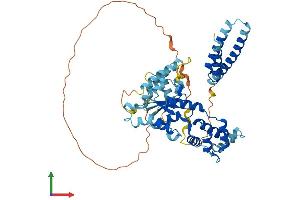 AlphaFold protein structure predicition of Human Recombinant KATNAL1 Protein, UniprotID Q9BW62