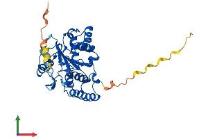 AlphaFold protein structure predicition of Mouse Recombinant Sult2b1 Protein, UniprotID O35400 (SULT2B1 Protein (AA 1-338) (His tag))