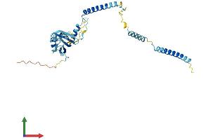 AlphaFold protein structure predicition of Human Recombinant RRP7A Protein, UniprotID Q9Y3A4