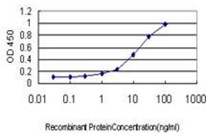 Detection limit for recombinant GST tagged HSF2 is approximately 0. (HSF2 antibody  (AA 1-230))