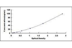 ELISA image for Plasminogen (PLG) ELISA Kit (ABIN6574264)