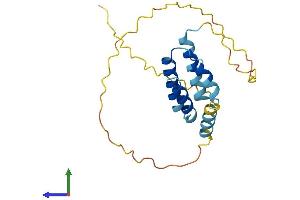 AlphaFold protein structure predicition of Human Recombinant CT45A1 Protein, UniprotID Q5HYN5 (CT45A1 Protein (AA 1-189) (His tag))