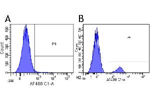Flow-cytometry using anti-CD22 antibody Epratuzumab   Human lymphocytes were stained with an isotype control (panel A) or the rabbit-chimeric version of Eptratuzumab ( panel B) at a concentration of 1 µg/ml for 30 mins at RT. (Recombinant CD22 (Epratuzumab Biosimilar) antibody)
