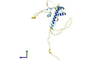 AlphaFold protein structure predicition of Human Recombinant NOTO Protein, UniprotID A8MTQ0 (NOTO Protein (AA 1-251) (His tag))