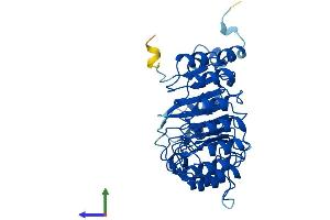 AlphaFold protein structure predicition of Mouse Recombinant Fbxl14 Protein, UniprotID Q8BID8